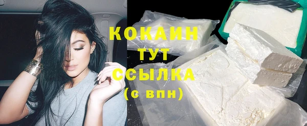 шишки Армянск