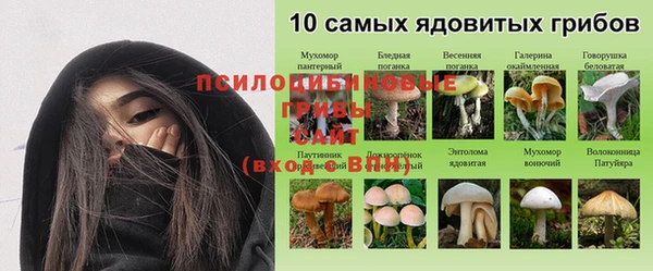 Альфа ПВП Аркадак
